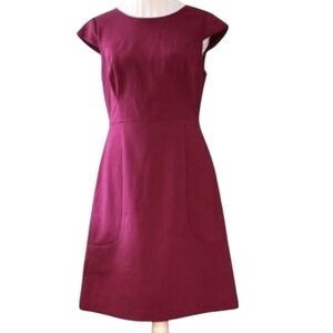 Adrianna Papell Magenta Pink A-Line Dress W/ Cap Sleeve